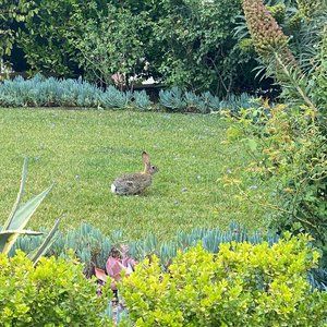 Meet your Posher, Fallon P